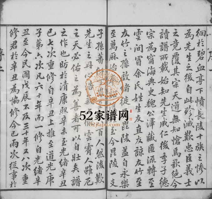 1928年修毘陵芳茂里方氏宗谱[26卷首1卷]江苏武进滋本堂方姓电子版族谱下载