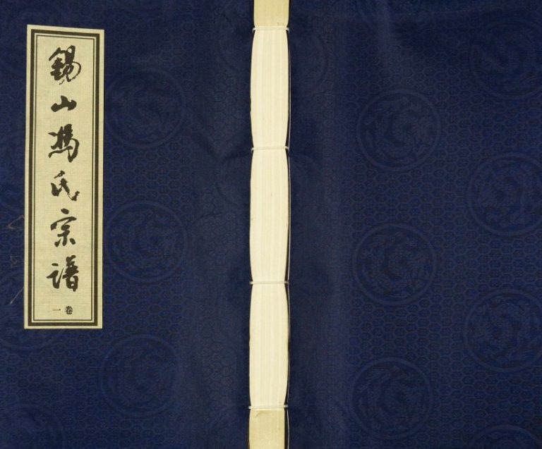 2009年修锡山冯氏宗谱[18卷]江苏 宜兴 常州大树堂冯姓电子版族谱下载
