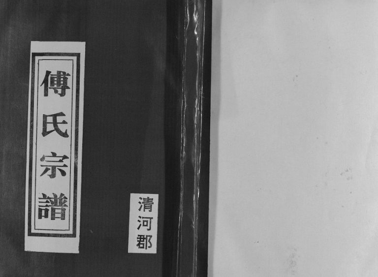 1999年修傅氏家谱 江苏盐城傅姓电子版族谱下载