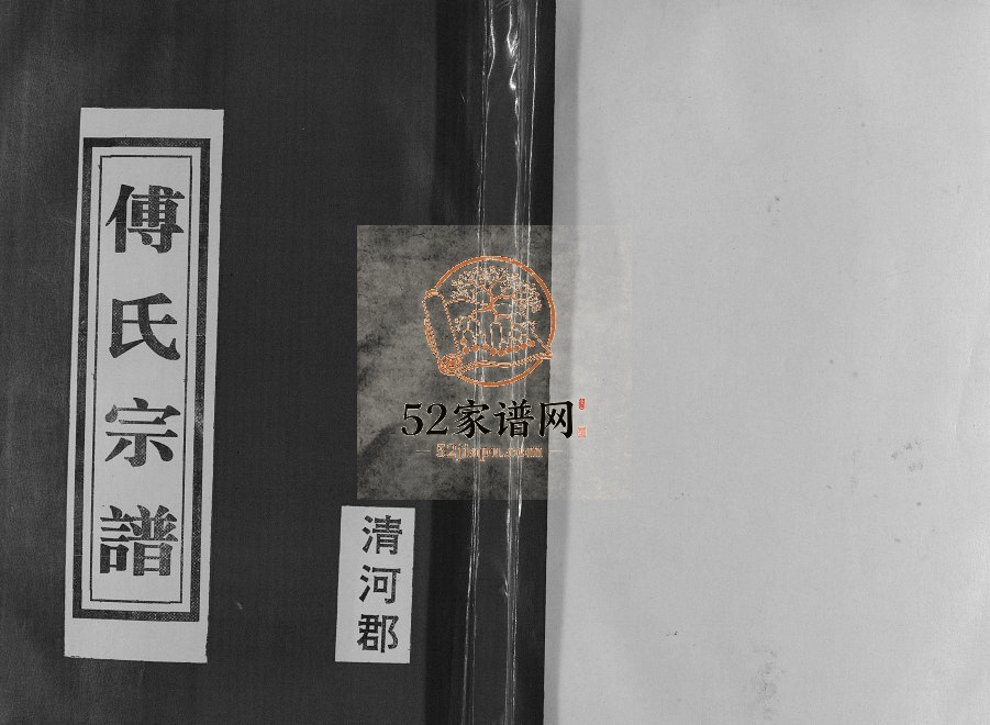 1999年修傅氏家谱 江苏盐城傅姓电子版族谱下载