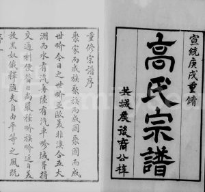 1910年修新塘高氏宗谱[12卷]江苏武进渤海堂高姓电子版族谱下载