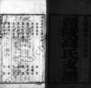 1895年修晋陵高氏支谱[2卷首末各1卷]江苏武进高姓电子版族谱下载