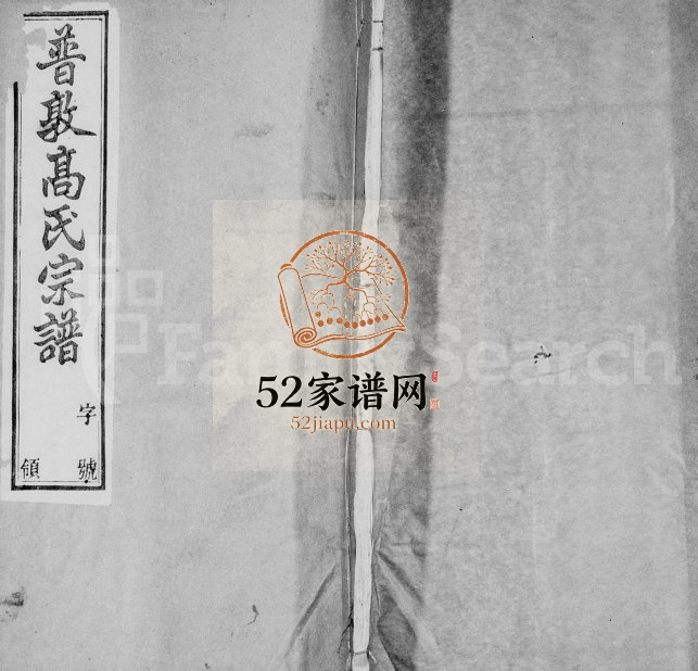 1931年修普敦高氏宗谱[16卷]江苏武进绿野堂高姓电子版族谱下载