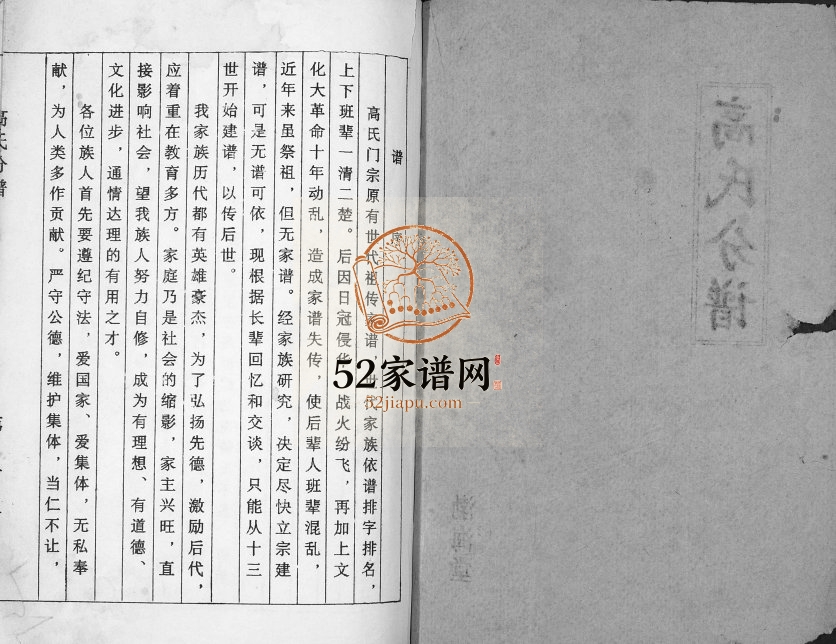 1996年修高氏分谱[不分卷]江苏建湖渤海堂高姓电子版族谱下载