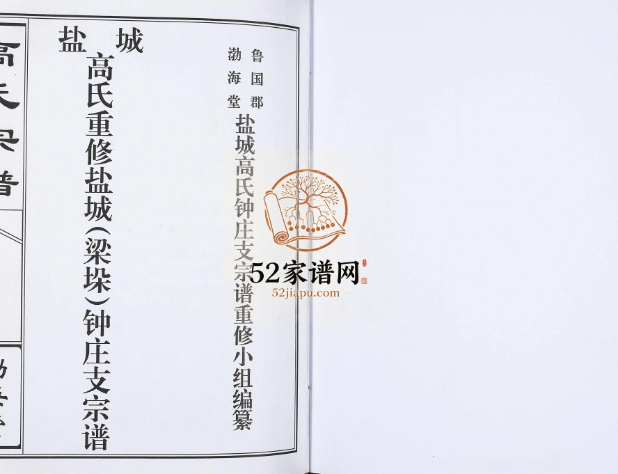 2014年盐城高氏重修盐城(梁垛)钟庄支宗谱 江苏建湖渤海堂高姓电子版族谱下载