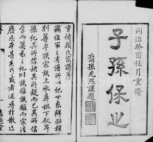 1873年修无锡顾氏宗谱[24卷]江苏嘉德堂顾姓电子版族谱下载
