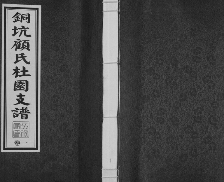 2015年四修铜坑顾氏杜园支谱[9卷]江苏江阴 无锡顾姓电子版族谱下载