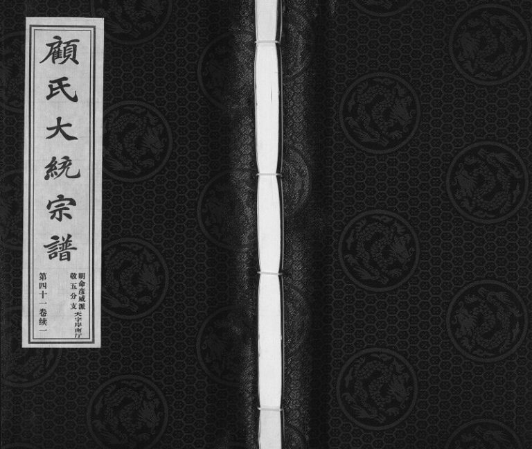 2017年修顾氏大统宗谱明命彦威派敬五分支[3卷]江苏无锡惇叙堂顾姓电子版族谱下载