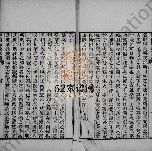1903年重修唯亭顾氏家谱[14卷]江苏吴中顾姓电子版族谱下载