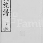 1916年修管氏族谱[16卷]江苏武进管姓电子版家谱下载