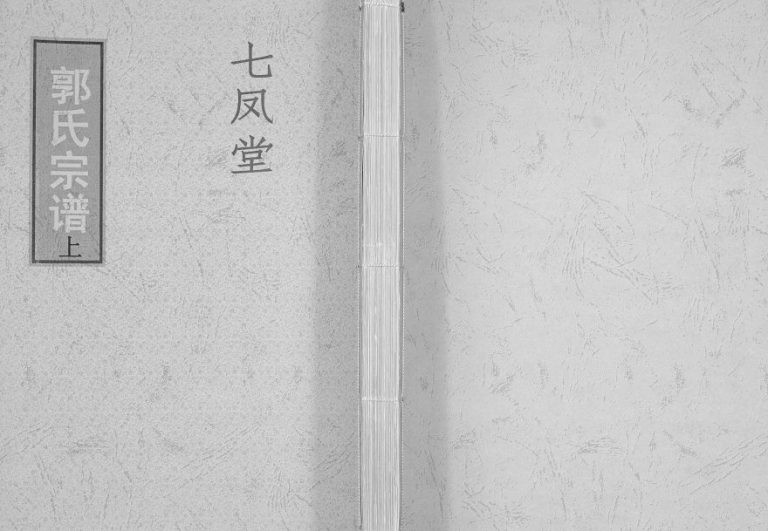 2006年郭氏族谱汾阳堂重修 江苏徐州汾阳堂郭姓电子版家谱下载