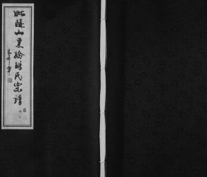 2009年修毗陵山东桥胡氏宗谱[8卷]江苏常州大雅堂胡姓电子版族谱下载