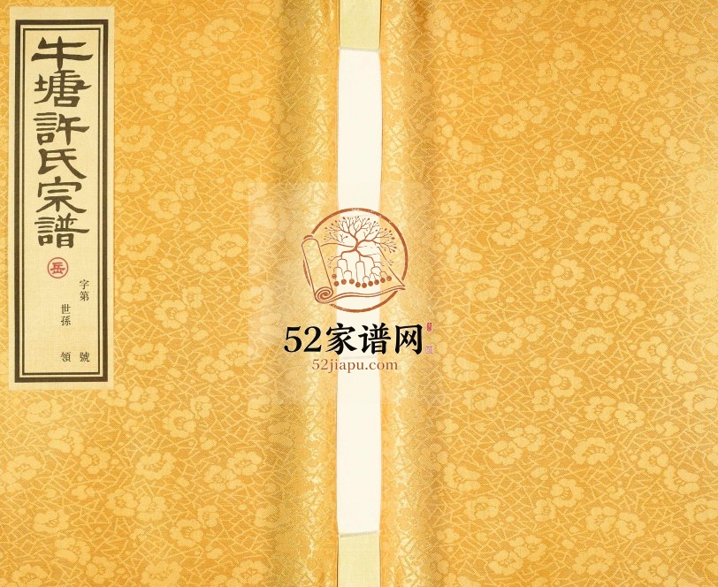 2013年常州牛塘许氏宗谱[20卷]江苏敦本堂许姓电子版族谱下载