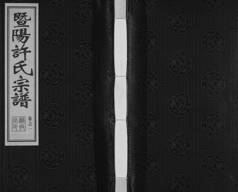 2017年续修暨阳许氏麟振堂宗谱[8卷]江苏常州许姓电子版族谱下载