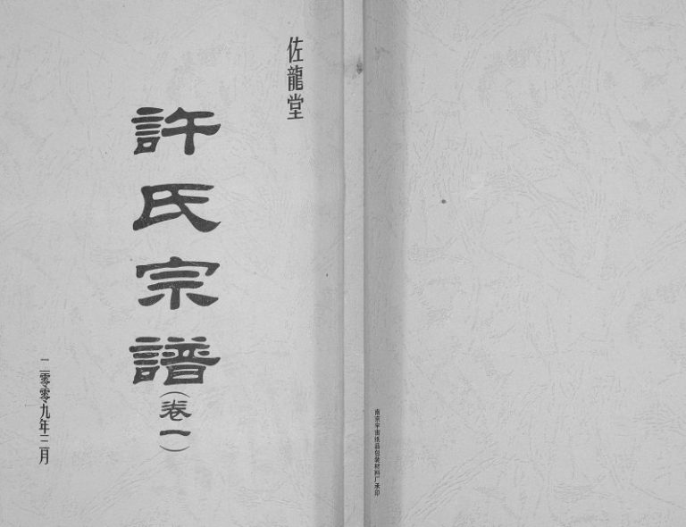 2009年修许氏宗谱[5卷]江苏射阳佐龙堂许姓电子版族谱下载