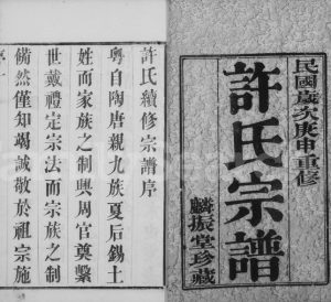 1920年修暨阳许氏宗谱[16卷]江苏江阴麟振堂许姓电子版族谱下载