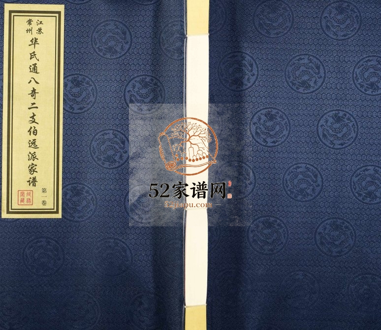 2015年修江苏常州华氏通八奇二支伯远派家谱[5卷] 延禄阁华姓电子版族谱下载