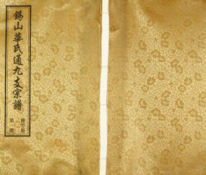 2018年修锡山华氏通九支宗谱[29卷首1卷传芳集5卷]江苏无锡惇叙堂华姓电子版族谱下载