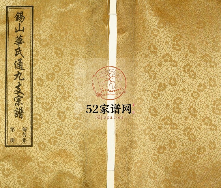 2018年修锡山华氏通九支宗谱[29卷首1卷传芳集5卷]江苏无锡惇叙堂华姓电子版族谱下载