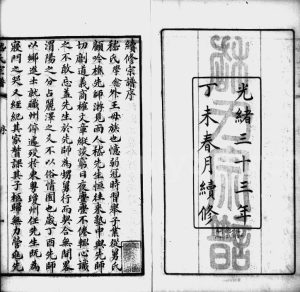 1907年修嵇氏宗谱[8卷]江苏无锡嵇姓电子版族谱下载