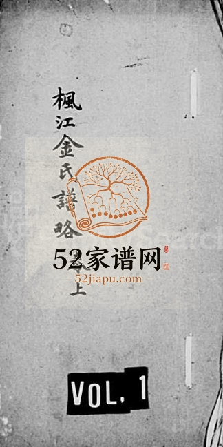 1869年修枫江金氏谱略[卷数杂异]江苏吴中金姓电子版族谱下载