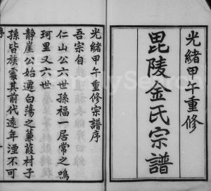 1894年修毘陵金氏宗谱[10卷]江苏武进金姓电子版族谱下载