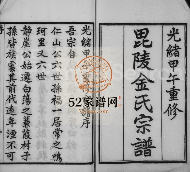 1894年修毘陵金氏宗谱[10卷]江苏武进金姓电子版族谱下载