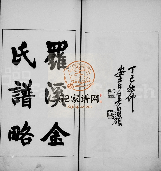 1917年修罗溪金氏谱略 上海宝山金姓电子版族谱下载