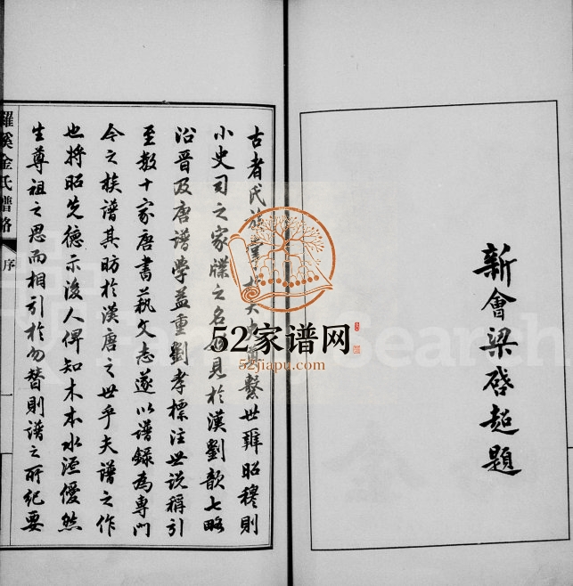 1917年修罗溪金氏谱略 上海宝山金姓电子版族谱下载