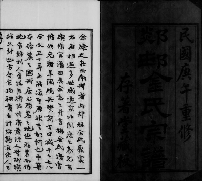 1930年修郯村金氏宗谱[20卷]江苏武进存着堂金姓电子版族谱下载