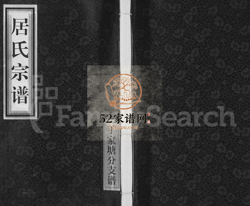 2012年续修居氏宗谱丁家塘分支谱[全1卷]江苏江阴树德堂居姓电子版族谱下载