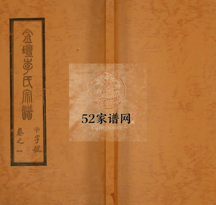 1928年修金坛李氏宗谱 江苏崇德堂李姓电子版族谱下载