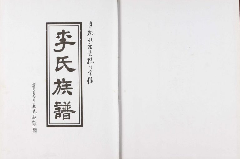 2013年修李氏宗谱 江苏泗阳陇西堂李姓电子版族谱下载