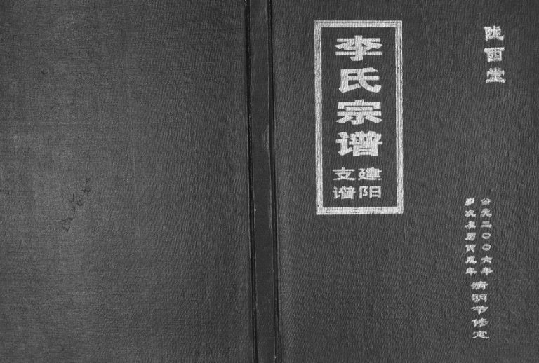 2006年修李氏宗支简谱[不分卷]江苏建湖陇西堂李姓电子版族谱下载