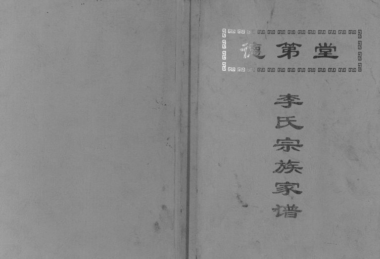 2010年修李氏宗族家谱 江苏扬州市德第堂李姓电子版族谱下载
