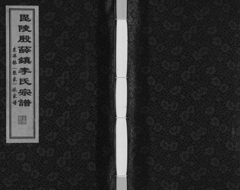 2017年修毘陵殷薛镇李氏宗谱.东洋桥张家派家谱 常州垂裕堂李姓电子版族谱下载