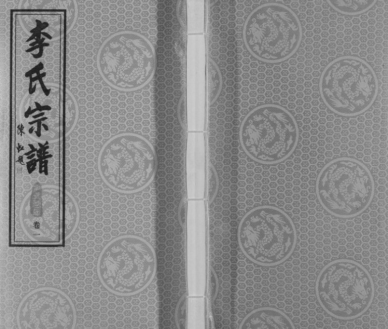2017年胡埭李氏宗谱五修[4卷]江苏无锡孝友堂李姓电子版族谱下载