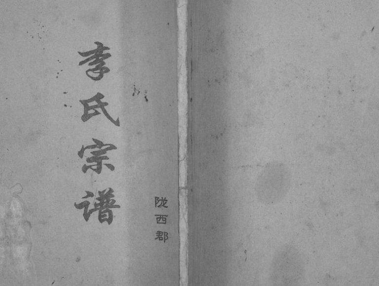2001年修盐城李氏宗谱 江苏陇西堂李姓电子版族谱下载