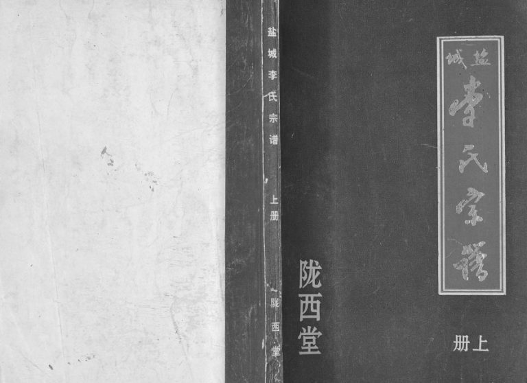 1996年修盐城李氏宗谱[2册]江苏李姓电子版族谱下载