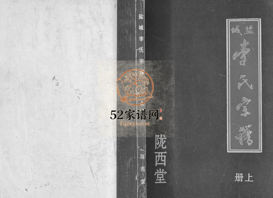 1996年修盐城李氏宗谱[2册]江苏李姓电子版族谱下载