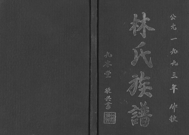 1993年修林氏族谱[不分卷]江苏清江浦九木堂林姓电子版家谱下载