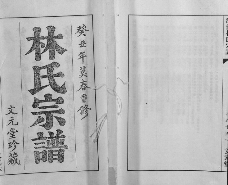 2007年修澄江林氏宗谱 江苏江阴文元堂林姓电子版族谱下载