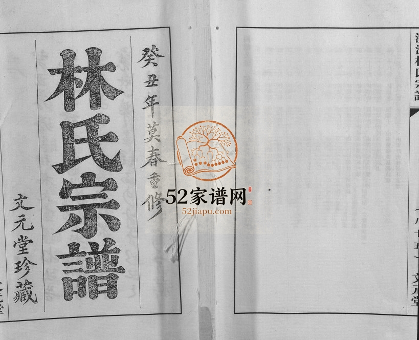 2007年修澄江林氏宗谱 江苏江阴文元堂林姓电子版族谱下载