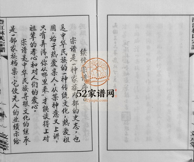 2007年修澄江林氏宗谱 江苏江阴文元堂林姓电子版族谱下载