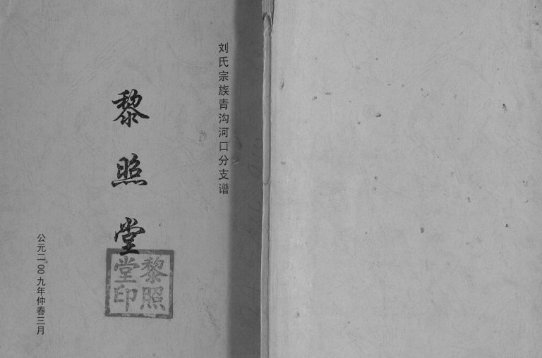 2009年修刘氏宗族青沟河口分支谱[不分卷]江苏建湖藜照堂刘姓电子版族谱下载