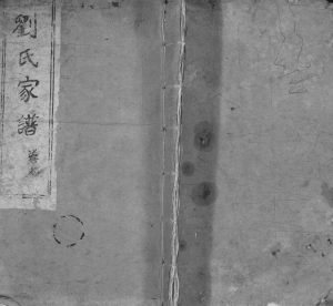 1989年修榆林刘氏家谱 江苏建湖养根堂刘姓电子版族谱下载