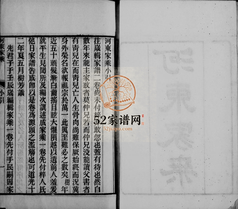 1882年分湖柳氏重修家谱[4卷]江苏吴江柳姓河东家乘电子版族谱下载