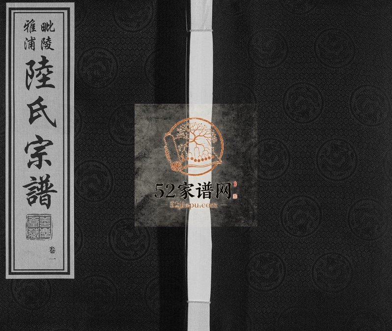 2016年修毗陵雅浦陆氏宗谱 江苏常州善庆堂陆姓电子版族谱下载