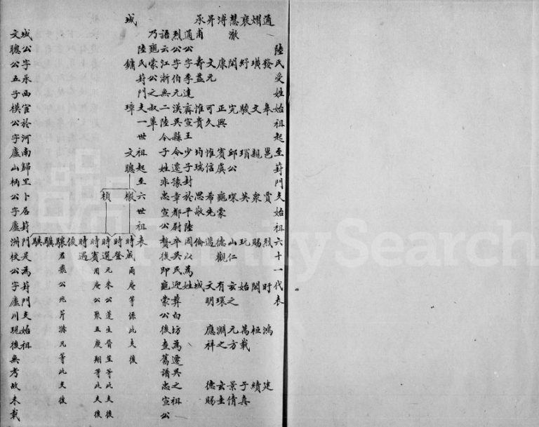 清代陆氏葑门支谱[2卷]江苏吴中陆姓电子版族谱下载