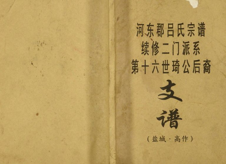 2001年河东郡吕氏宗谱续修二门派系第十六世琦公后裔支谱